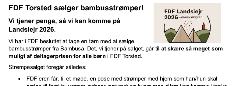 FDF Torsted sælger bambus strømper