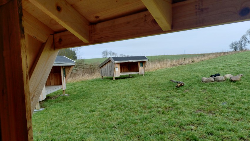 Shelter 3 Small